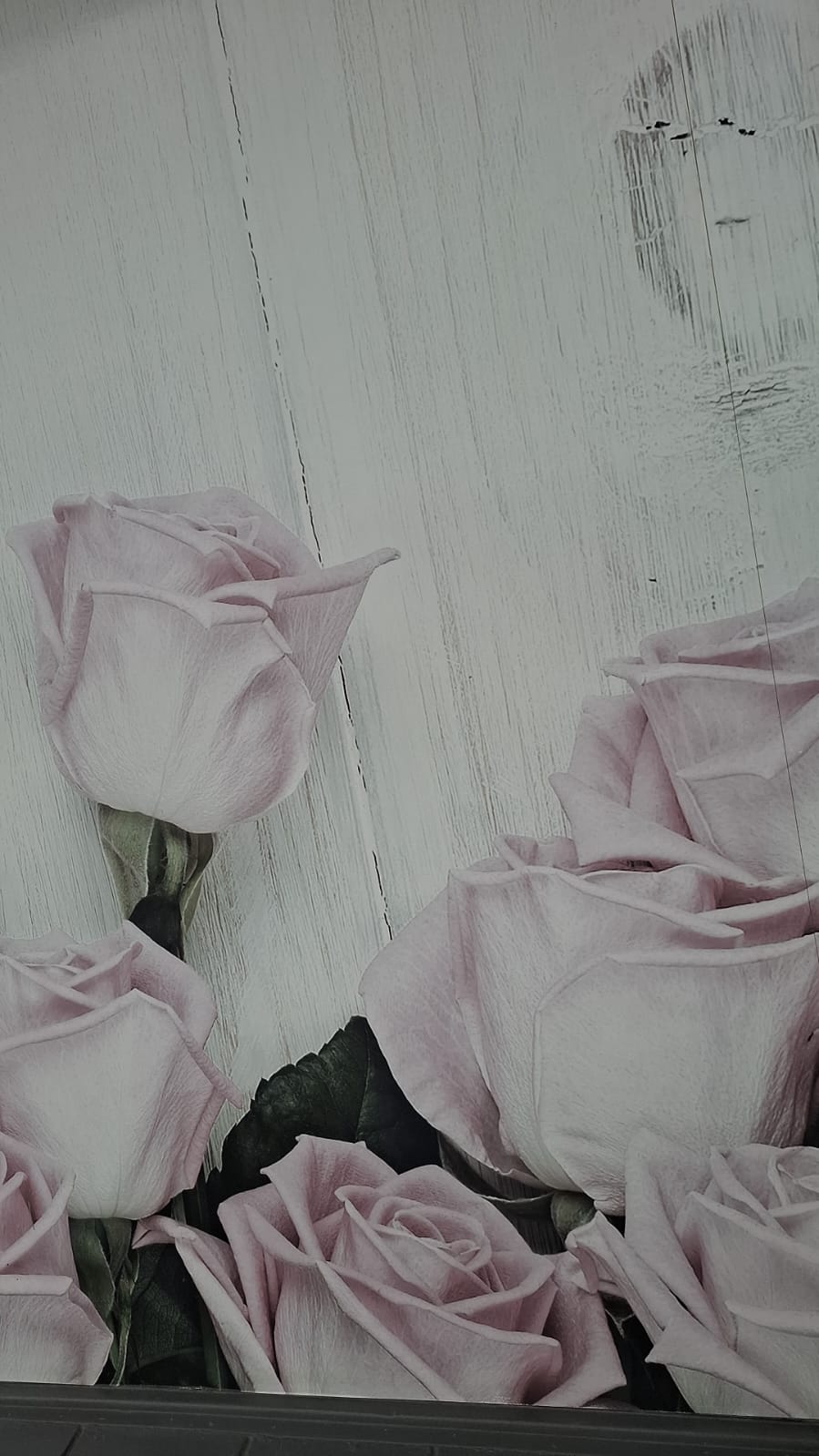 Soft pink roses backdrop